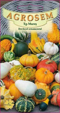 Ornamental gourd