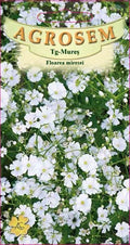 White bridal flower