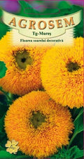 Decorative sunflower