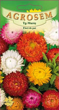 Strawflowers