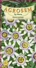Passion flower