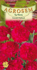 Chabaud Red Carnations
