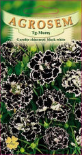 Dianthus chinensis Black-White
