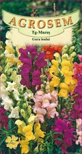 Snapdragon