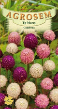 Gomphrena