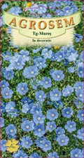In decorative