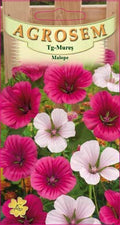 Mallow
