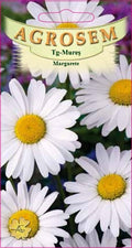 White daisies