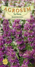 Ornamental mint