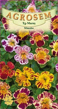 Mimulus