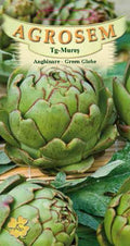 Artichoke-Green Globe