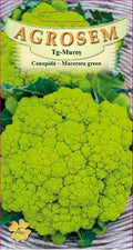 Green cauliflower - Macerated Green