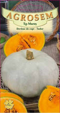 Baking Pumpkin - Tudor