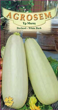 Zucchini - White Bush