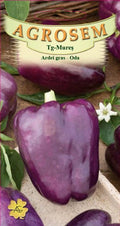 Purple Bell Pepper - Ode