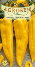 Long pepper - Corno Di Toro Giallo