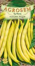 Bush bean - Berggold