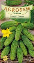 Cucumbers - Cornichon Paris Small Green