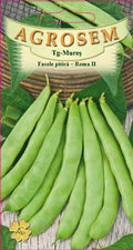 Dwarf Bean - Roma II