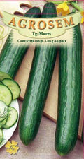 Long cucumbers - English long