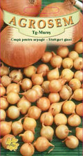 Shallot - Stuttgart Giant