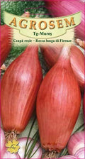 Red onion - Rossa lunga di Firenze