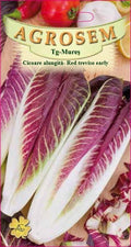 Chicory - Red Treviso Early