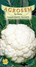 Early cauliflower - Snowball X