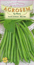 Climbing Bean - Blue Lake