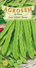 Climbing bean - Marconi