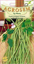 Climbing French beans by the meter - Metro a Seme