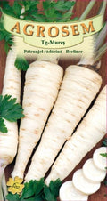 Parsley root - Berliner