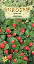 Wild Strawberries - Rugen
