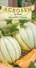 Cantaloupe - Charentais