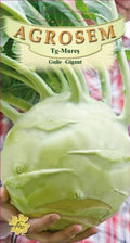 Kohlrabi - Giant
