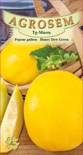 Honeydew melon - Honey Dew Green