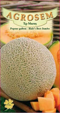 Cantaloupe - Hale's Best Jumbo