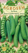 Early garden peas - Meteor