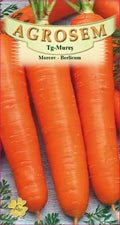 Carrot - Berlicum