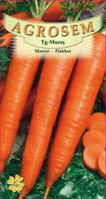 Carrot - Flakkee