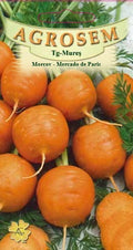Carrot - Paris Market