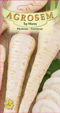 Parsnip - Guernsey