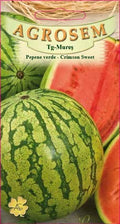 Watermelon - Crimson Sweet