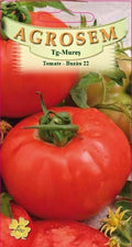 Tomatoes - Buzău 22