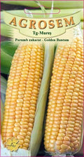 Sweetcorn - Golden Bantam
