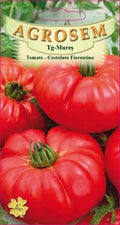 Tomato - Costoluto Fiorentino