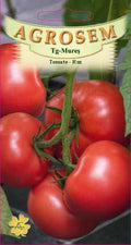 Pink tomatoes