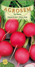 Cherry Belle Radishes
