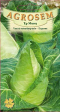 Early Cabbage - Express