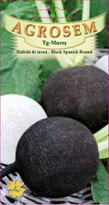 Téli retek - Black Spanish Round